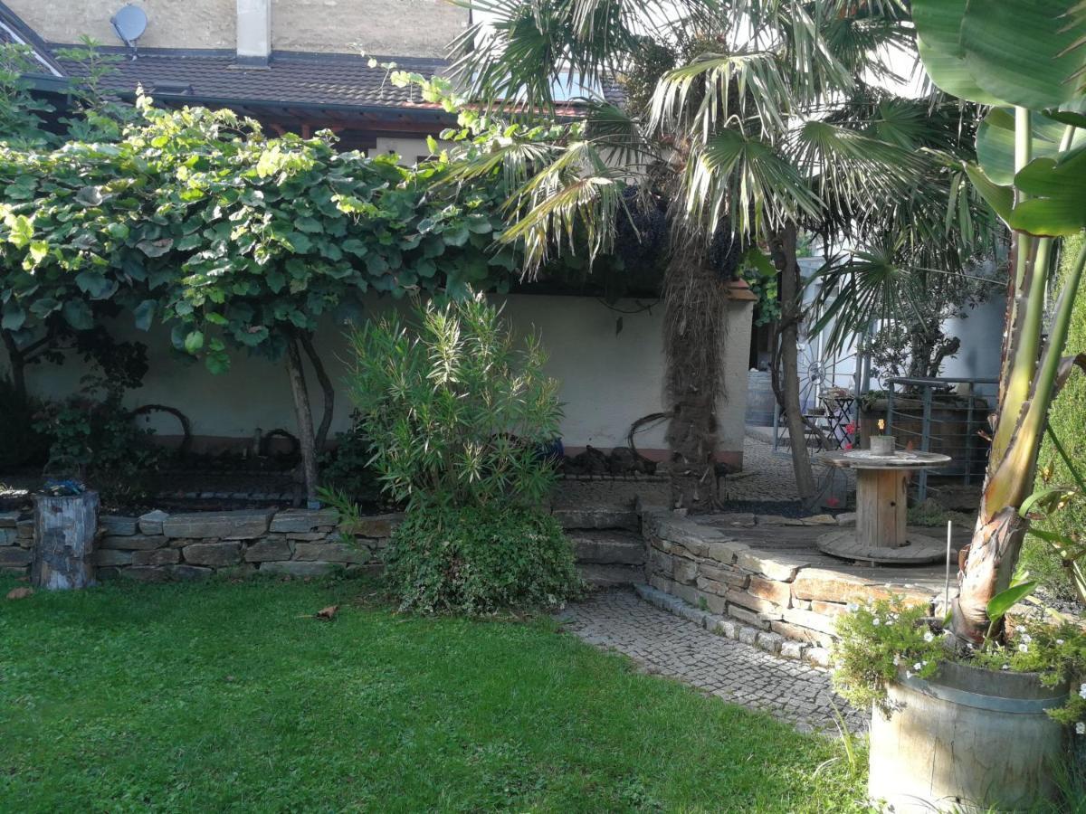 Bed and Breakfast Haus Bienen Ihringen Exterior foto