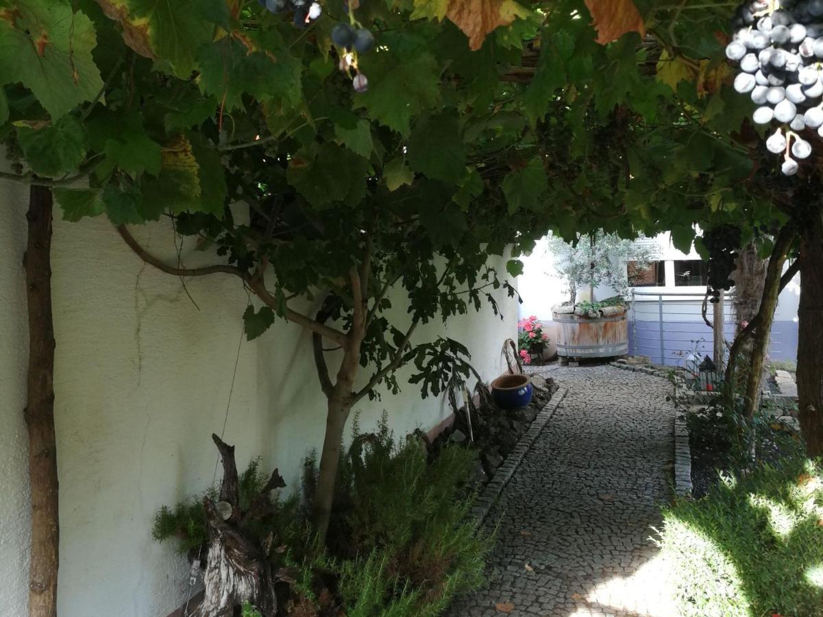Bed and Breakfast Haus Bienen Ihringen Exterior foto