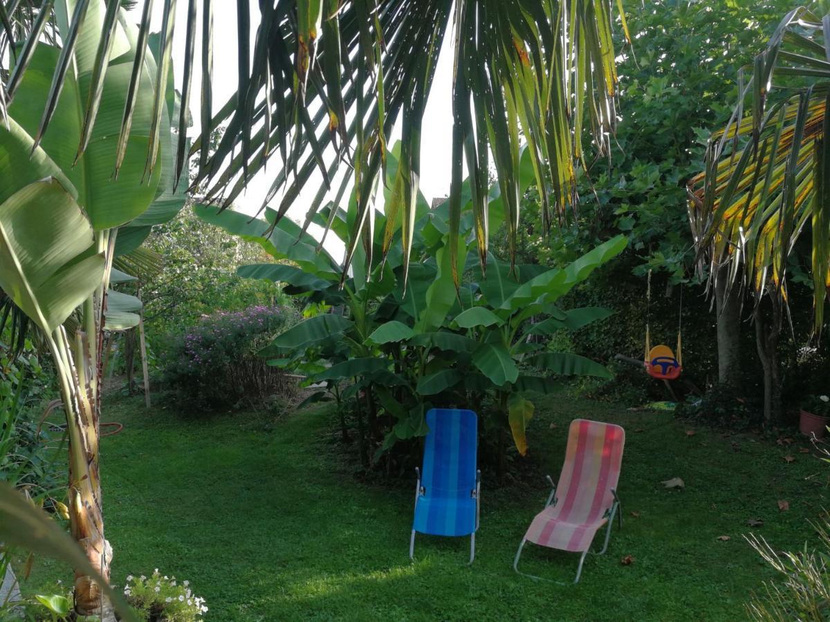 Bed and Breakfast Haus Bienen Ihringen Exterior foto